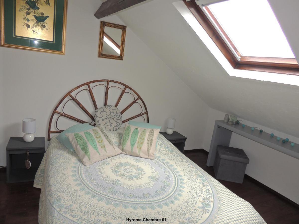 Gite Hyrom 5 Places Moulin De La Placette Faye-d'Anjou Экстерьер фото